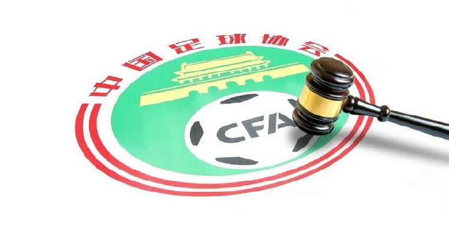 蓝羽：能不能讲一讲马丽在其中的表现怎么样？