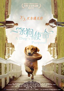 2024-12-23 《峡谷》首曝预告 安雅·泰勒-乔伊守卫地狱之门2024-12-10 好酷！
